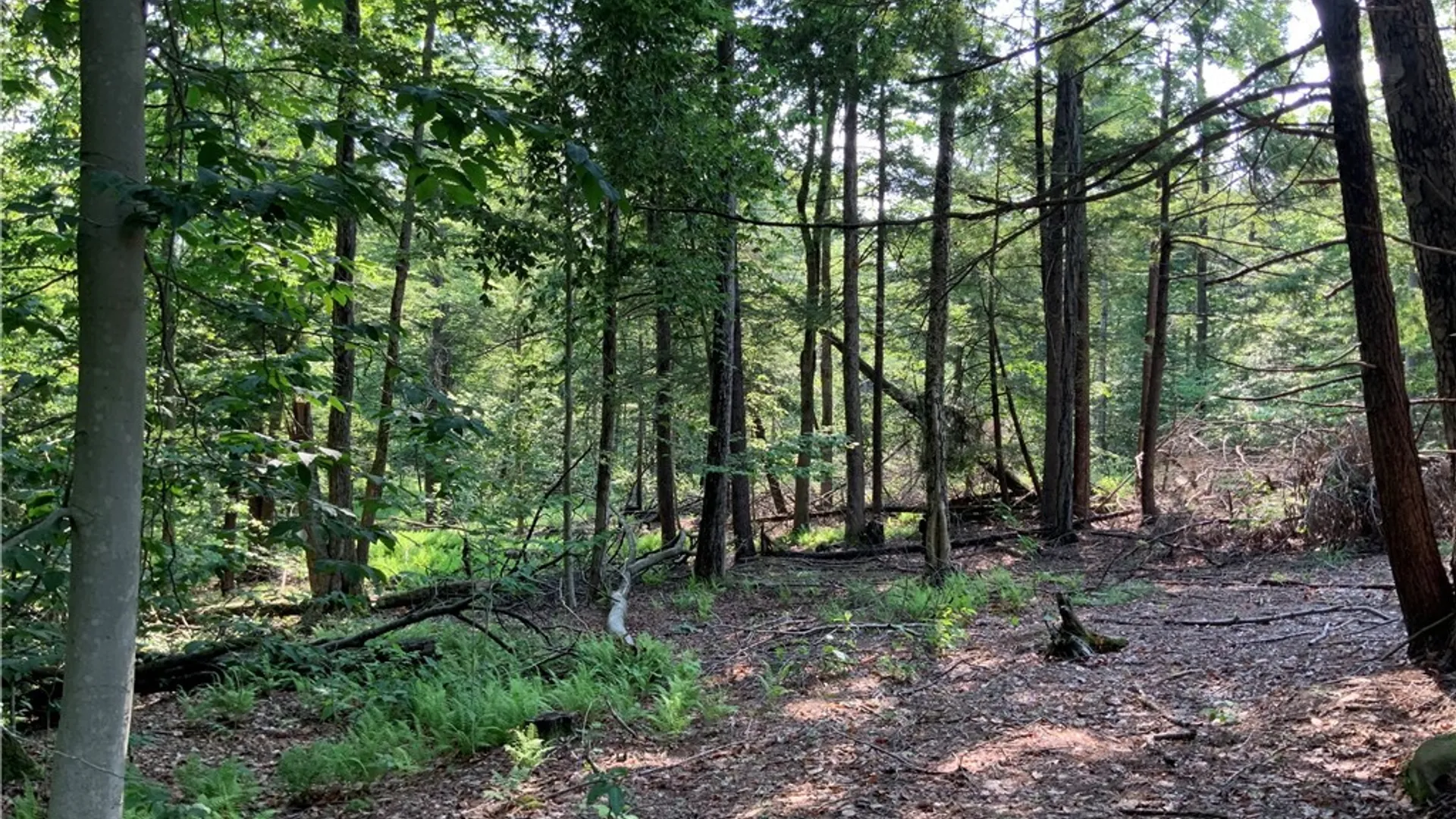Property at 25 Lincoln Mountain Road, Greenfield, NY 12833 22