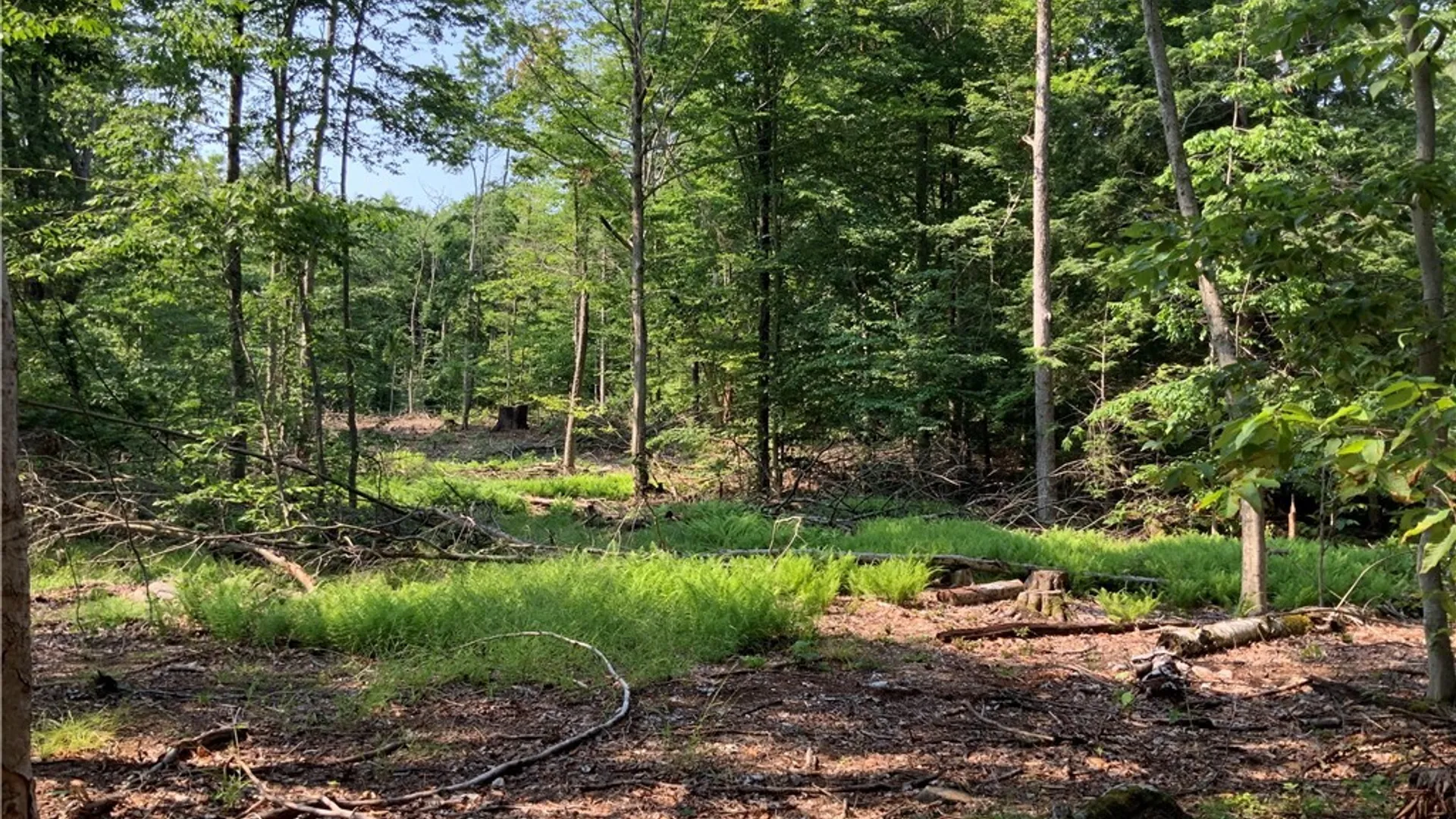 Property at 25 Lincoln Mountain Road, Greenfield, NY 12833 23