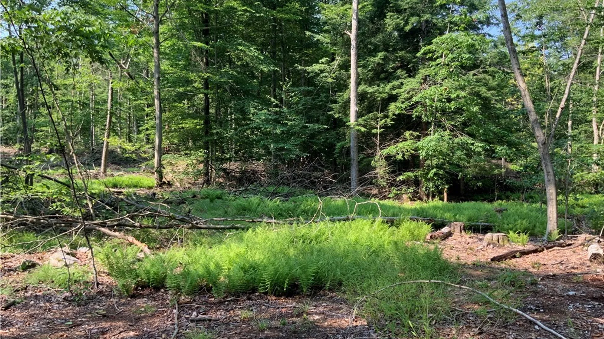 Property at 25 Lincoln Mountain Road, Greenfield, NY 12833 24
