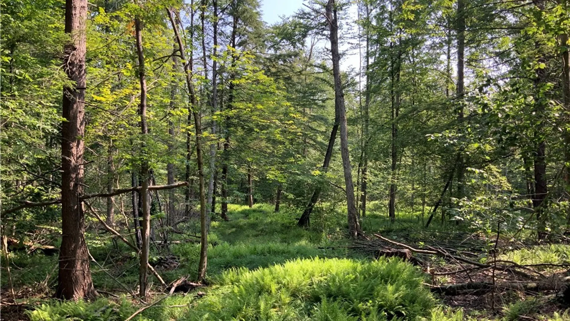 Property at 25 Lincoln Mountain Road, Greenfield, NY 12833 25