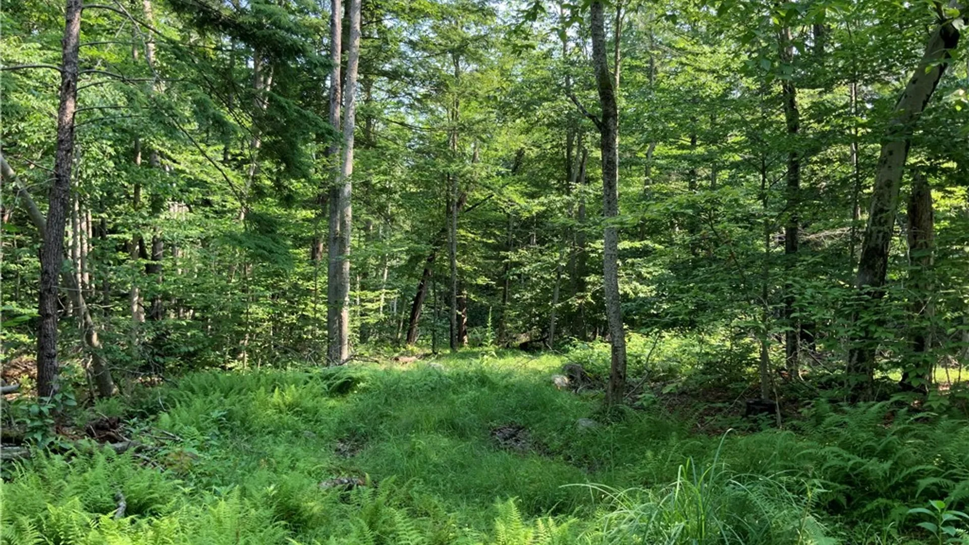 Property at 25 Lincoln Mountain Road, Greenfield, NY 12833 27