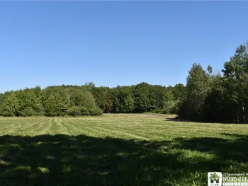 Property at 0 Route 39, Perrysburg, NY 14129