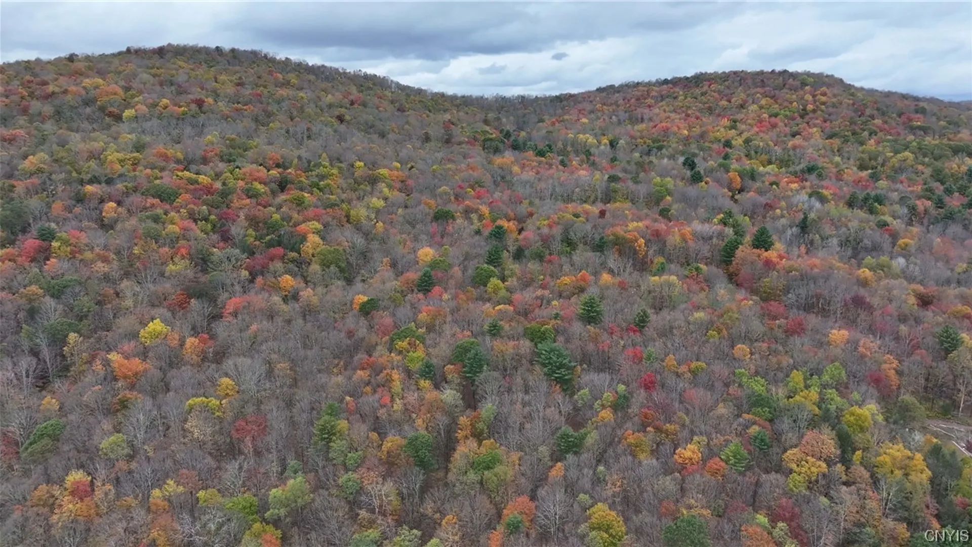 Property at L1 Huntley Hollow Road, Colchester, NY 13752 12