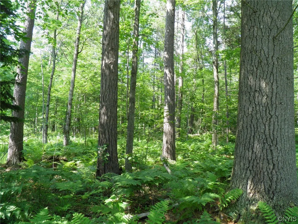 Property at 0 Silver Lake Road, Black Brook Twp, NY 12997
