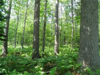 Property at 0 Silver Lake Road, Black Brook Twp, NY 12997
