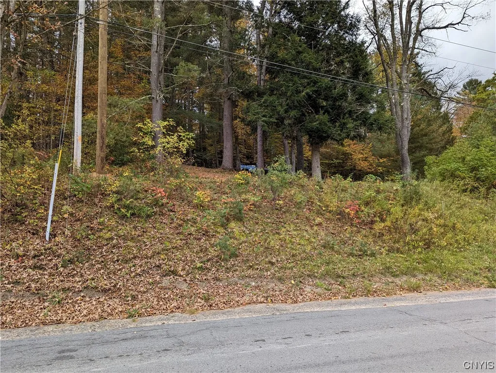 Property at 7194 Moose River Road, Lyonsdale, NY 13433