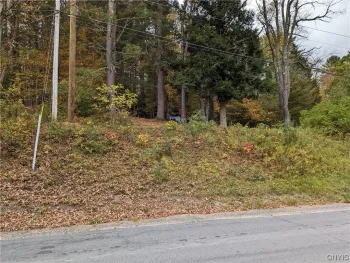 Property at 7194 Moose River Road, Lyonsdale, NY 13433