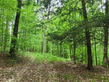 Property at 1425 State Route 417, Greenwood, NY 14839