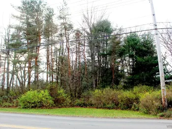 Property at VL Vaughn Street Lot #6, Concord, NY 14141