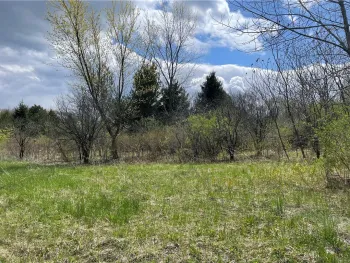 Property at 0 Chicken Coop Road, Hector, NY 14886