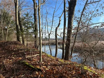 Property at 33830 State Highway 10, Hamden, NY 13782