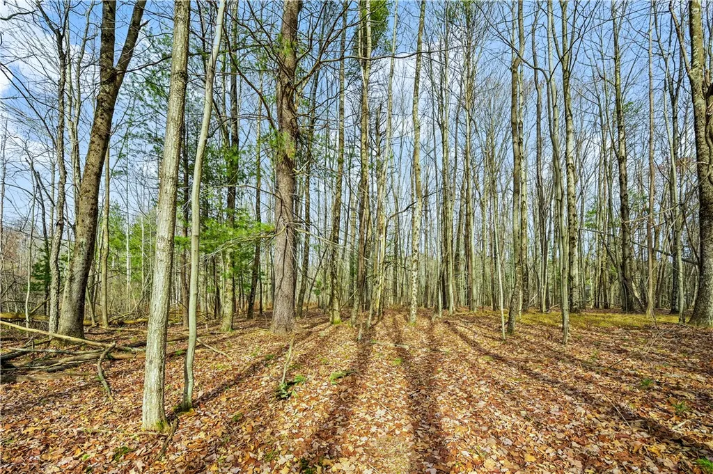 Property at L13 Deer Path, Jefferson, NY 12167