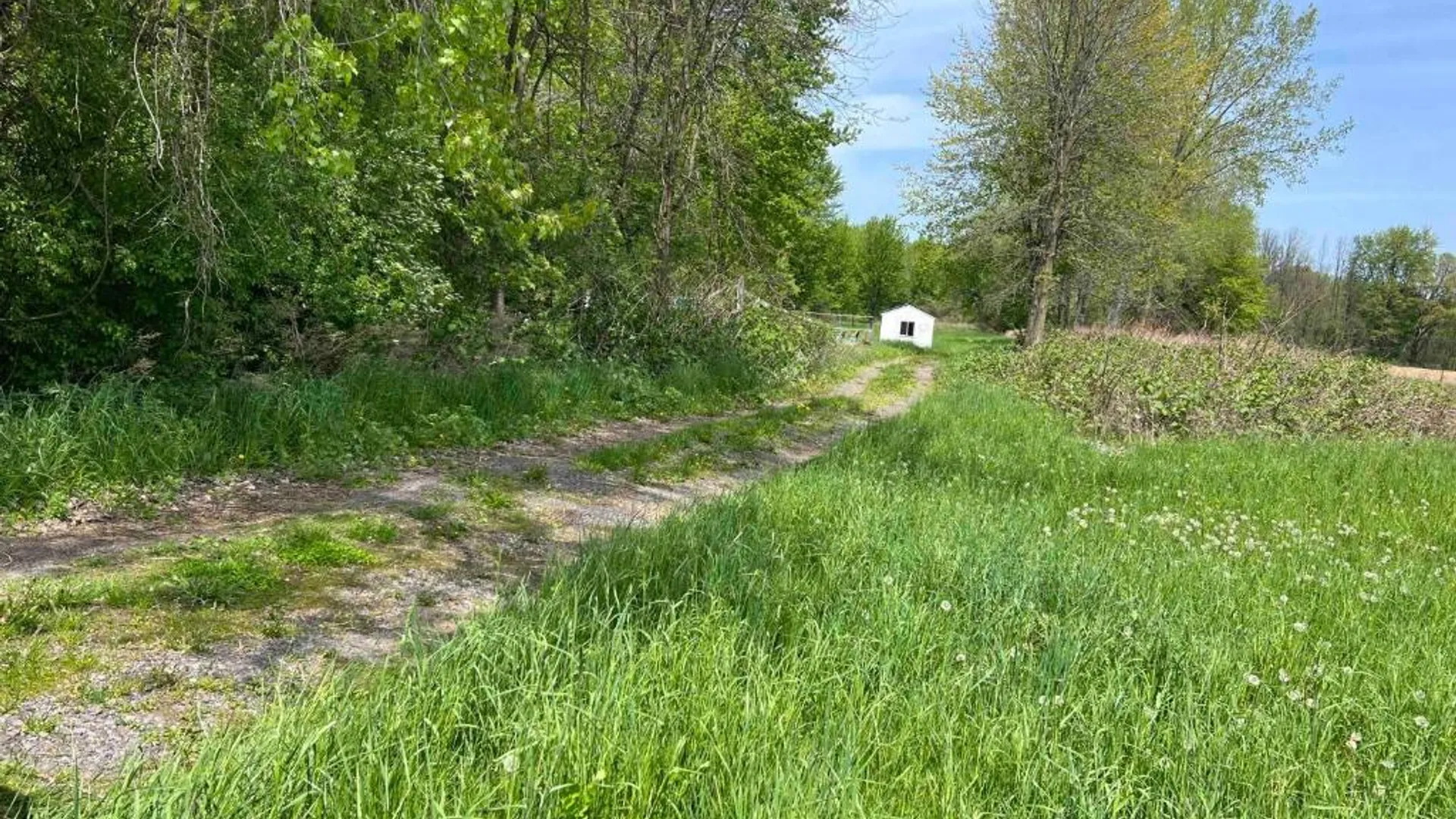 Property at 0 Pilgrimport Road, Lyons, NY 14489 12