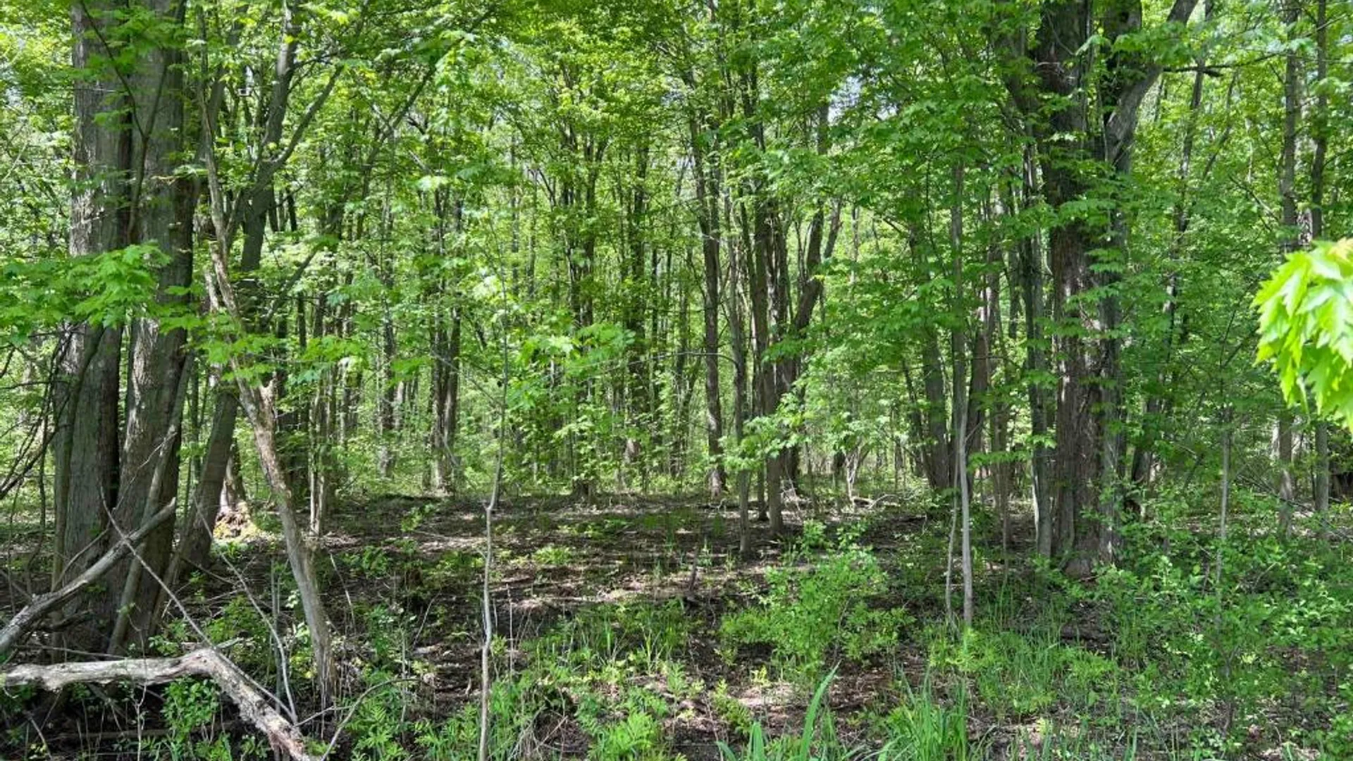 Property at 0 Pilgrimport Road, Lyons, NY 14489 18