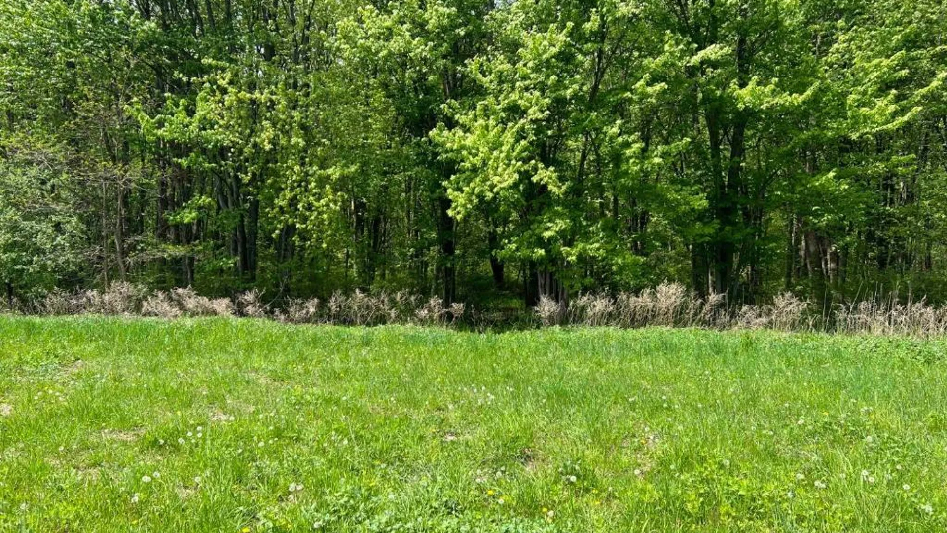 Property at 0 Pilgrimport Road, Lyons, NY 14489 29