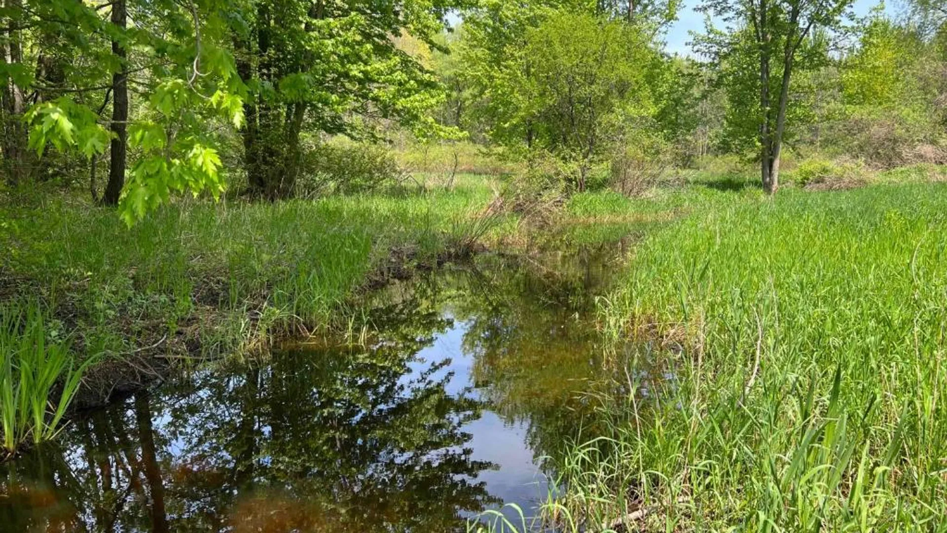 Property at 0 Pilgrimport Road, Lyons, NY 14489 30