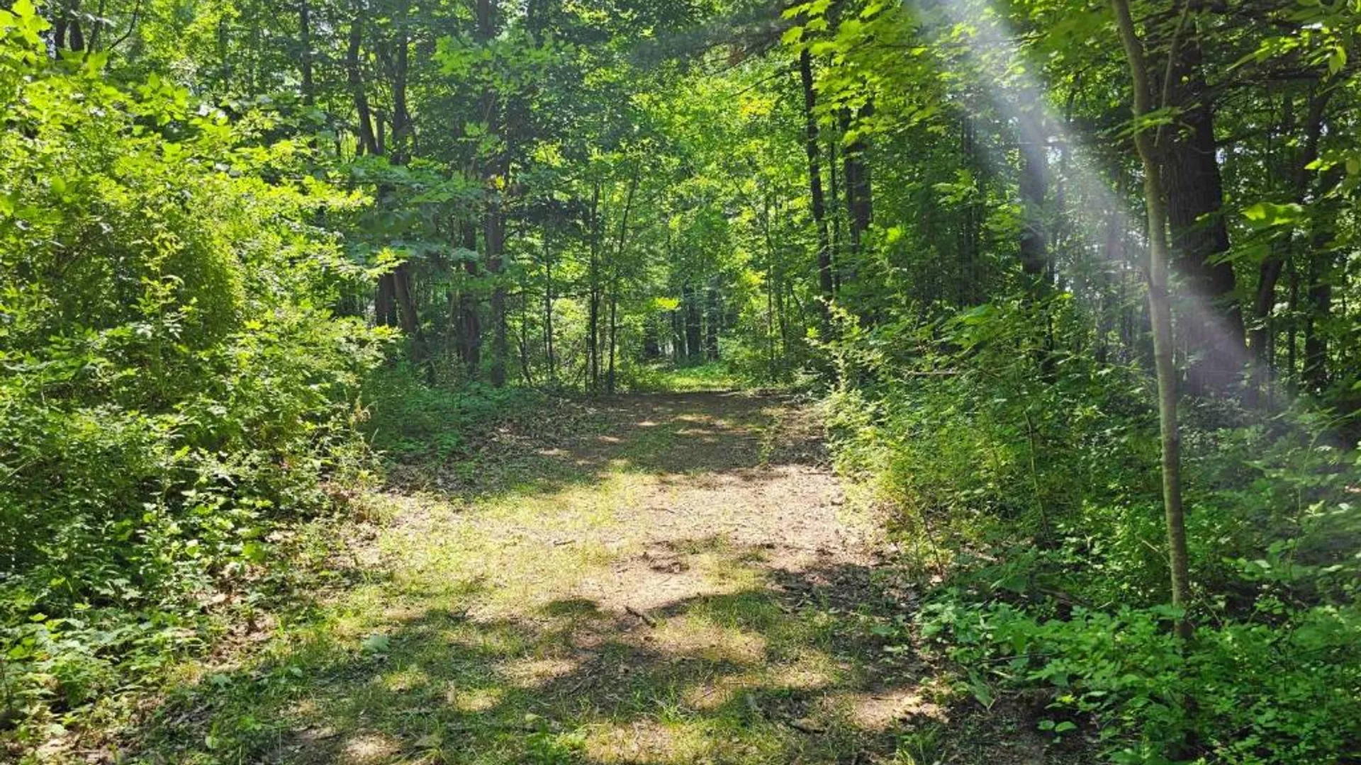Property at 0 Lake Bluff Road, Huron, NY 14516 34