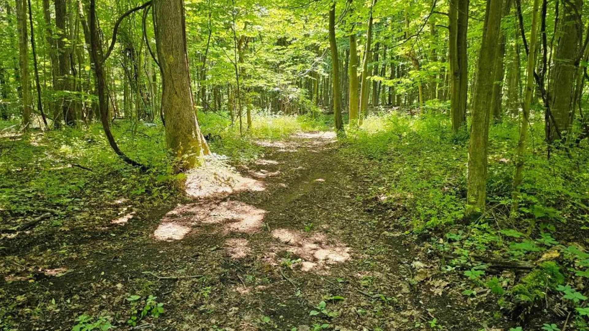 Property at 0 Lake Bluff Road, Huron, NY 14516 18