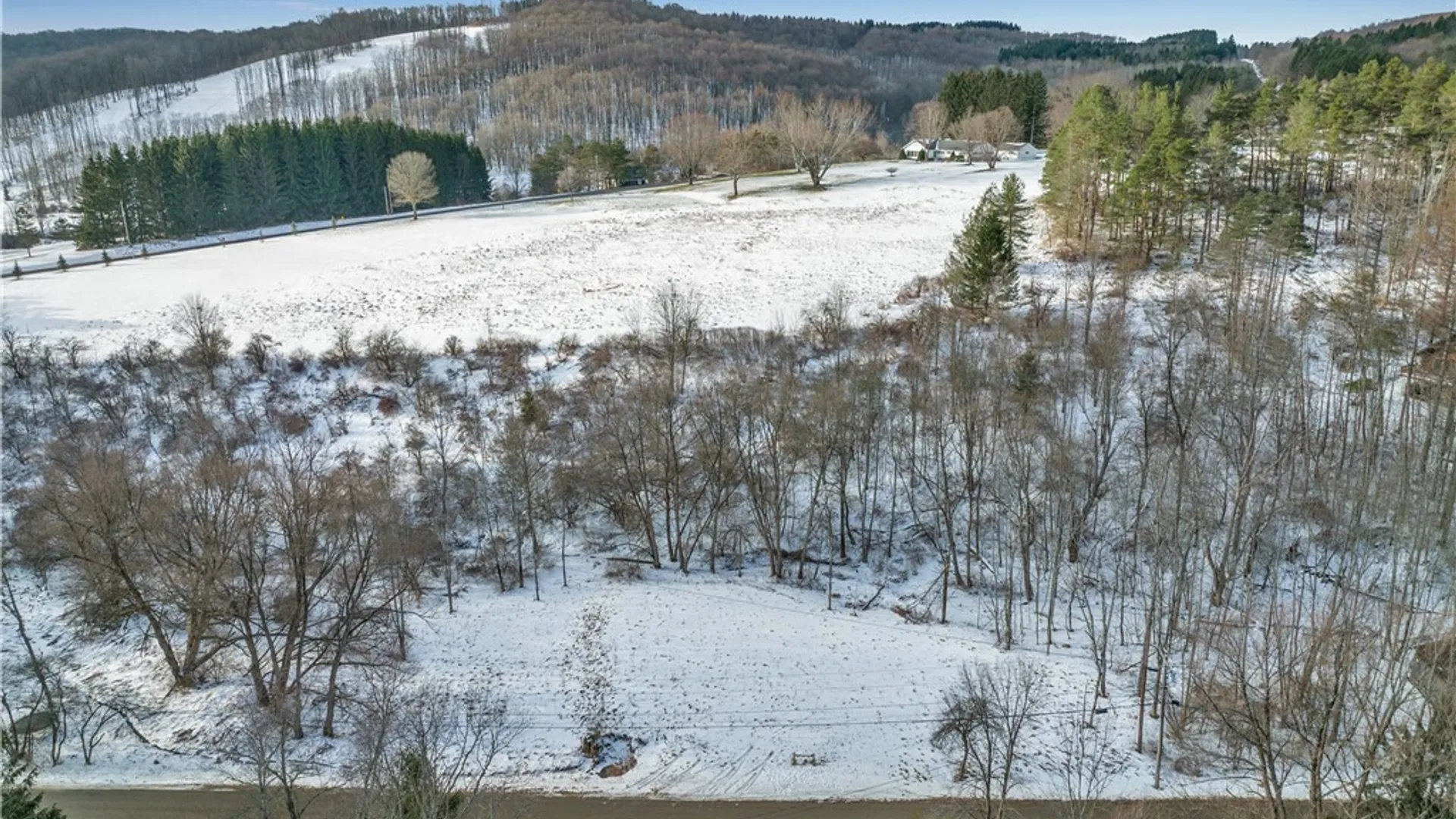Property at 00 Hencoop Hollow Road, Mansfield, NY 14731 6