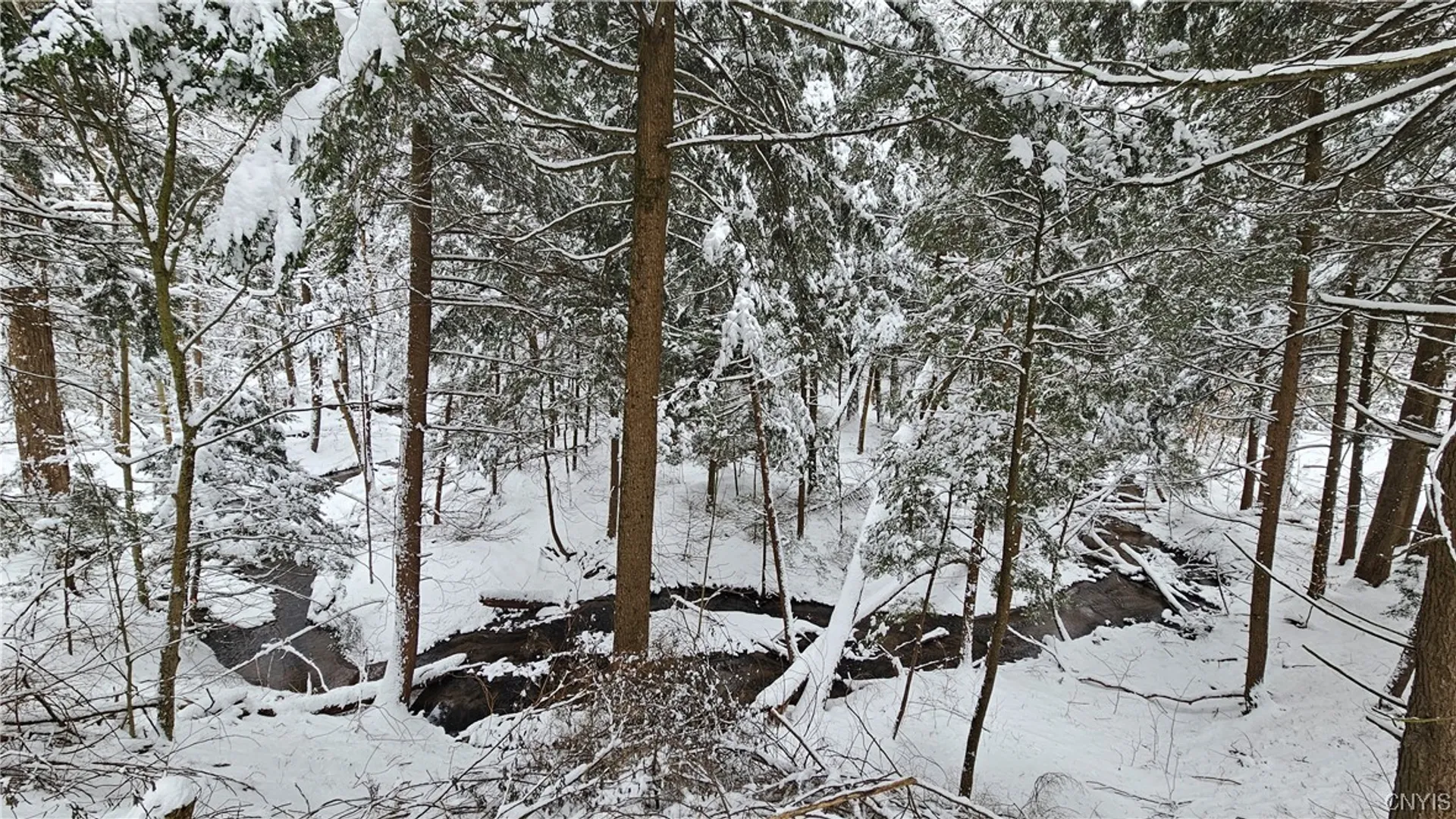 Property at 7900 New Floyd Road, Floyd, NY 13440 3