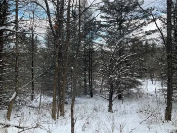 Property at 00 Curncross Road, Smyrna, NY 13464
