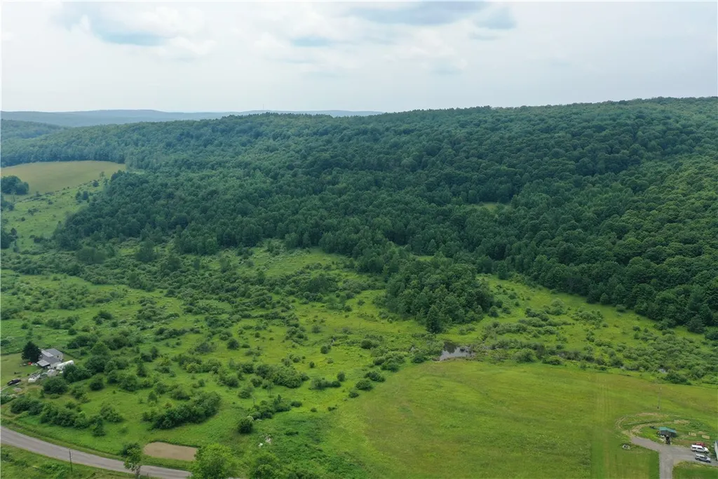 Property at Lot# 01 Pease Hill Road, Cuyler, NY 13158