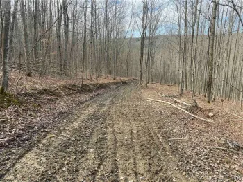 Property at 3356 Joe Mcmahon Road, Birdsall, NY 14709