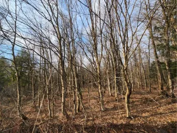 Property at 00 Jess Drive, Redfield, NY 13437