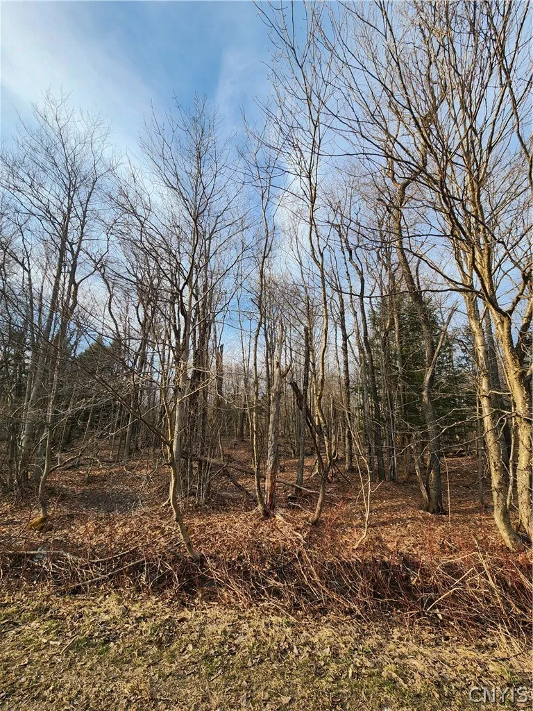 Property at 000 Jess Drive, Redfield, NY 13437