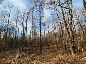 Property at 0000 Jess Drive, Redfield, NY 13437