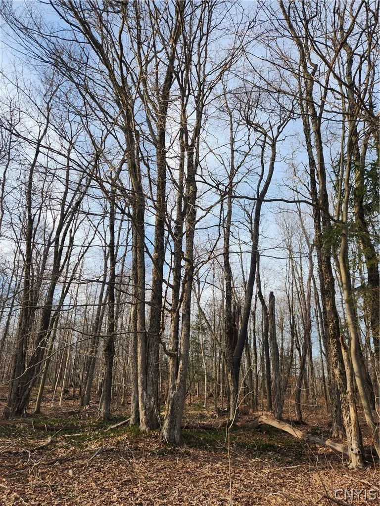 Property at 00000 Jess Drive, Redfield, NY 13437