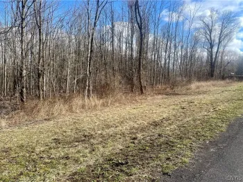 Property at 254 Lot 1 Kent Road, Hannibal, NY 13156