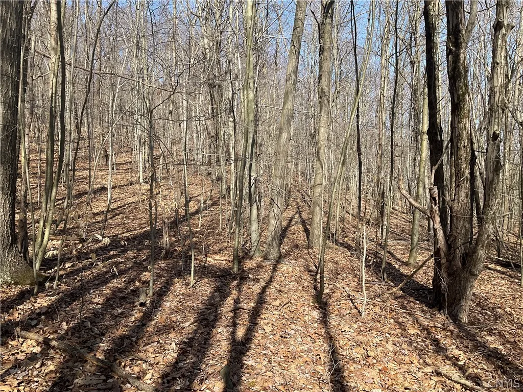 Property at 3041 Hance Road, Binghamton, NY 13903