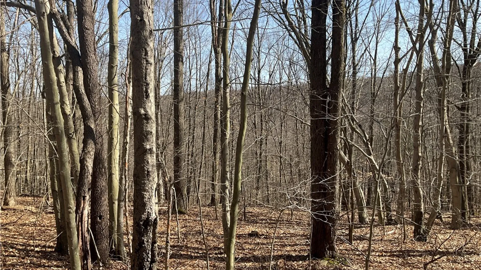 Property at 3041 Hance Road, Binghamton, NY 13903 7