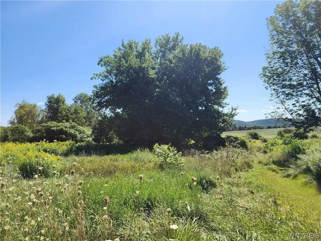 Property at 12059 Middle Road, Sardinia, NY 14055