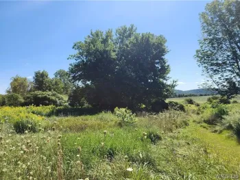 Property at 12059 Middle Road, Sardinia, NY 14055