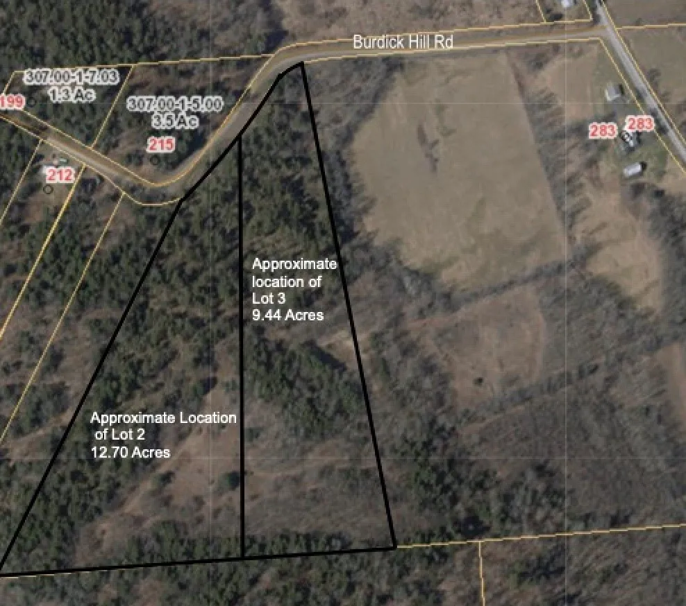 Property at Lots 2 and 3 Burdick Hill Road, Otego, NY 13825