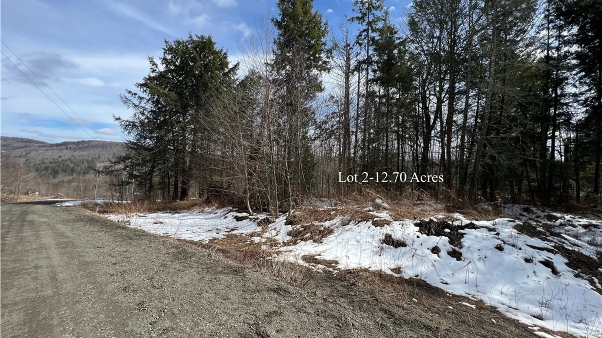 Property at Lots 2 and 3 Burdick Hill Road, Otego, NY 13825 8
