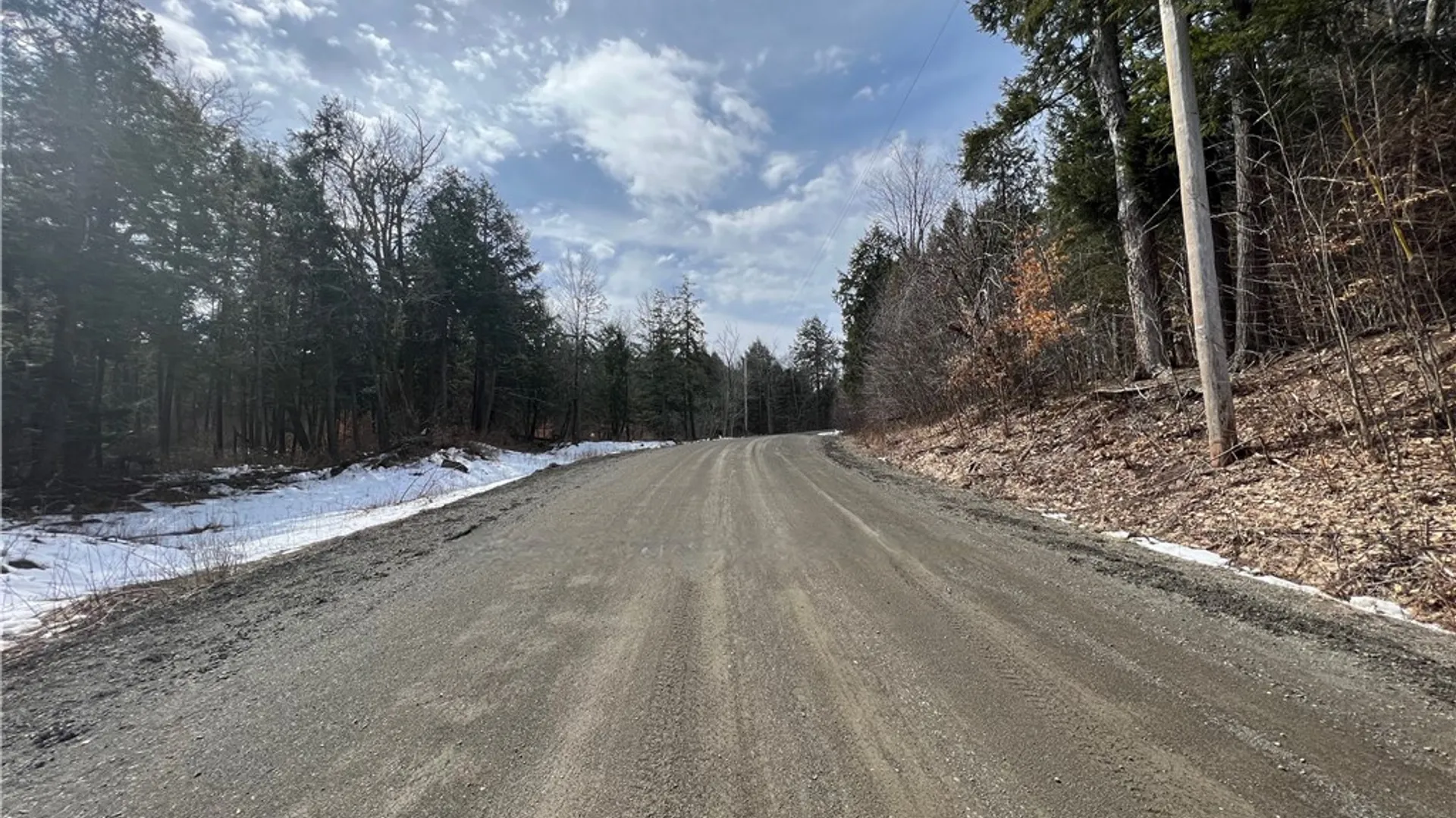 Property at Lots 2 and 3 Burdick Hill Road, Otego, NY 13825 9