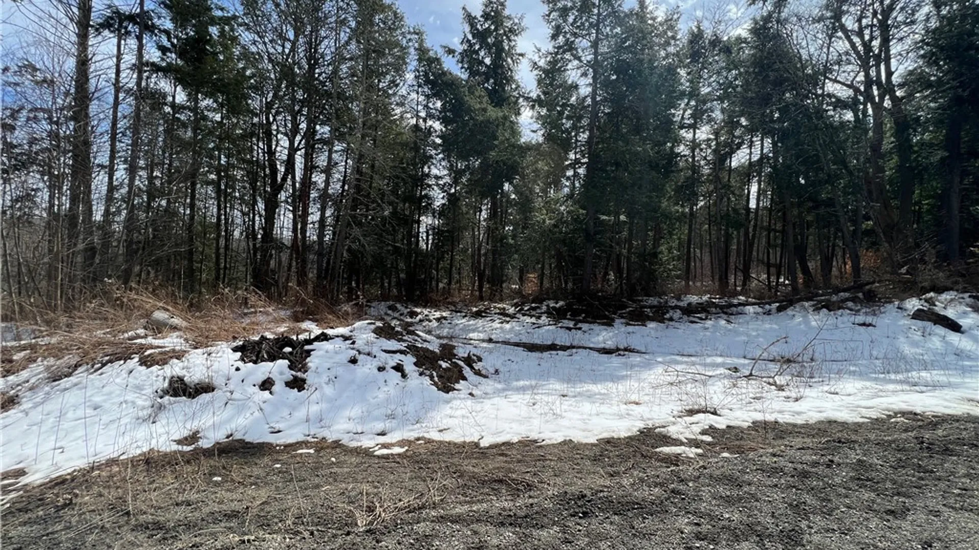 Property at Lot 3 Burdick Hill Road, Otego, NY 13825 4