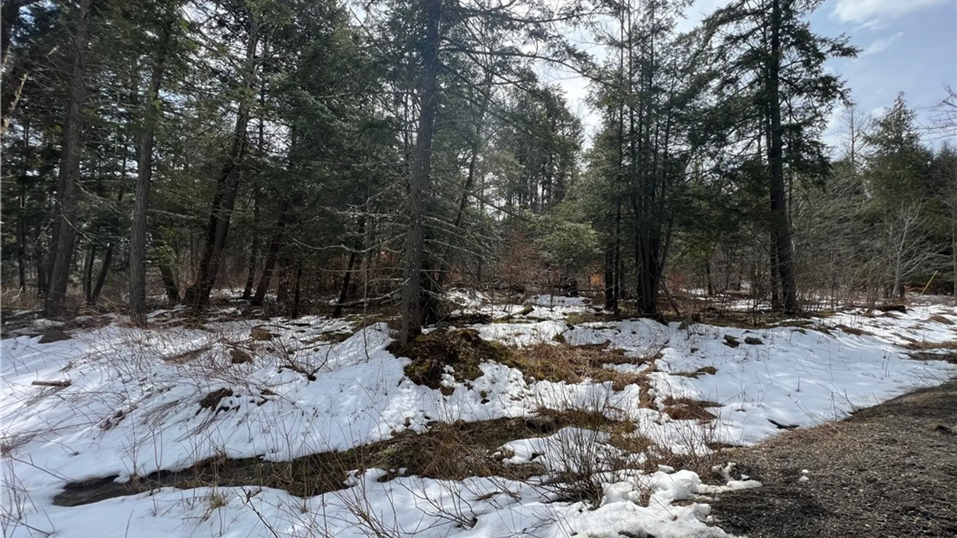 Property at Lot 2 Burdick Hill Road, Otego, NY 13825 3
