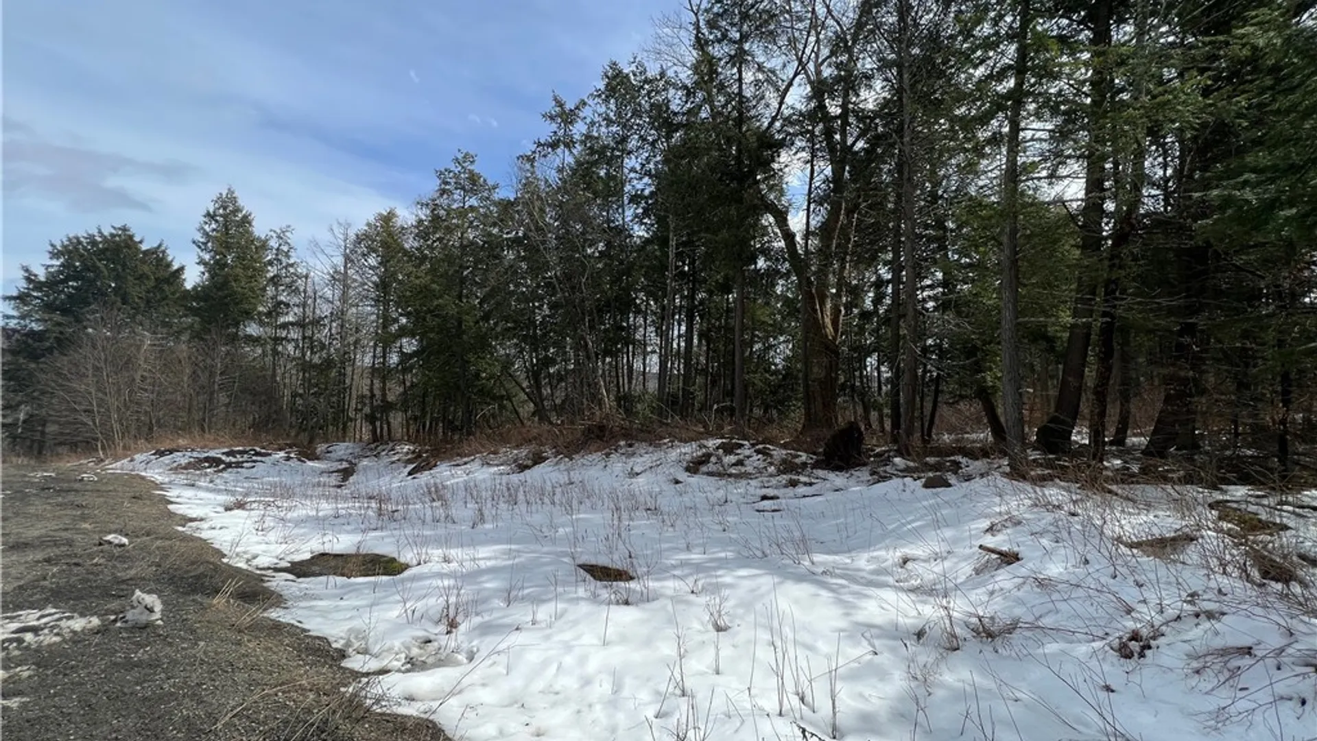 Property at Lot 2 Burdick Hill Road, Otego, NY 13825 6
