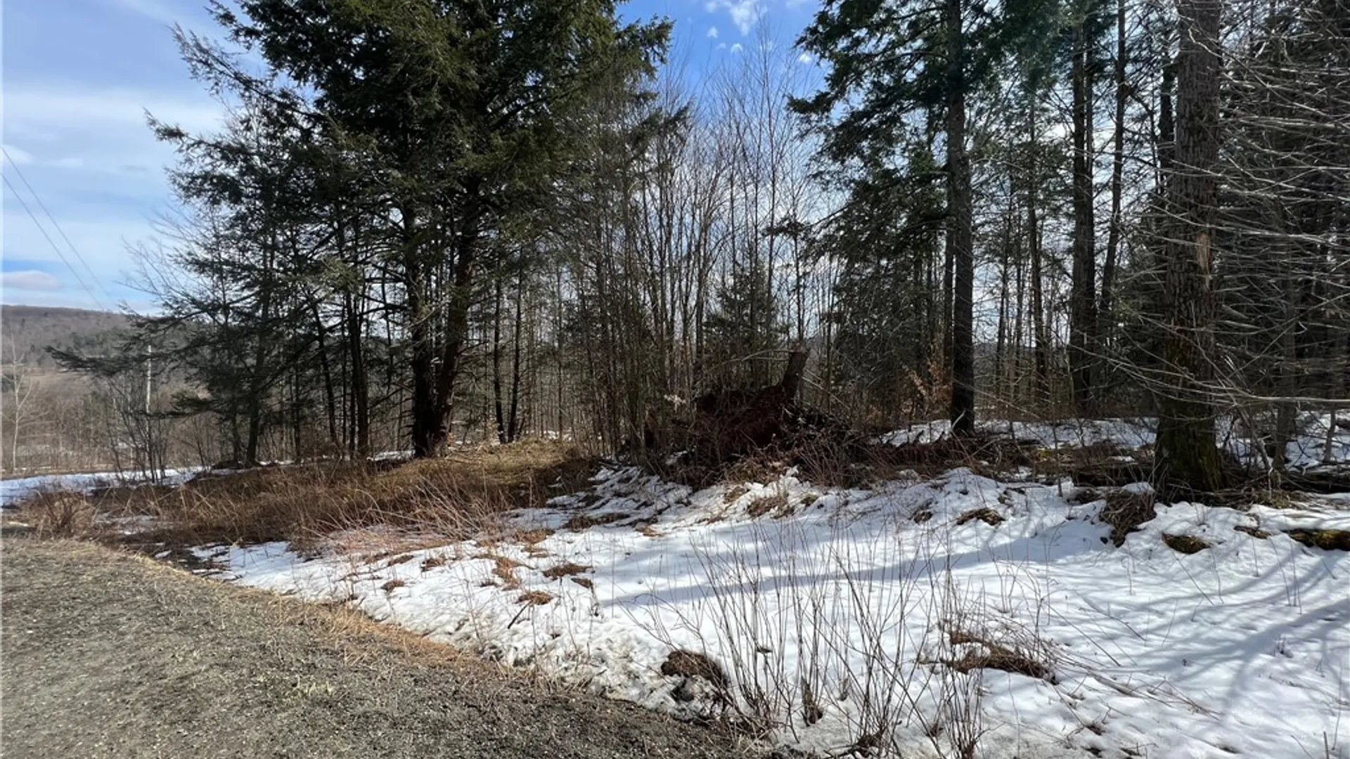 Property at Lot 2 Burdick Hill Road, Otego, NY 13825 7