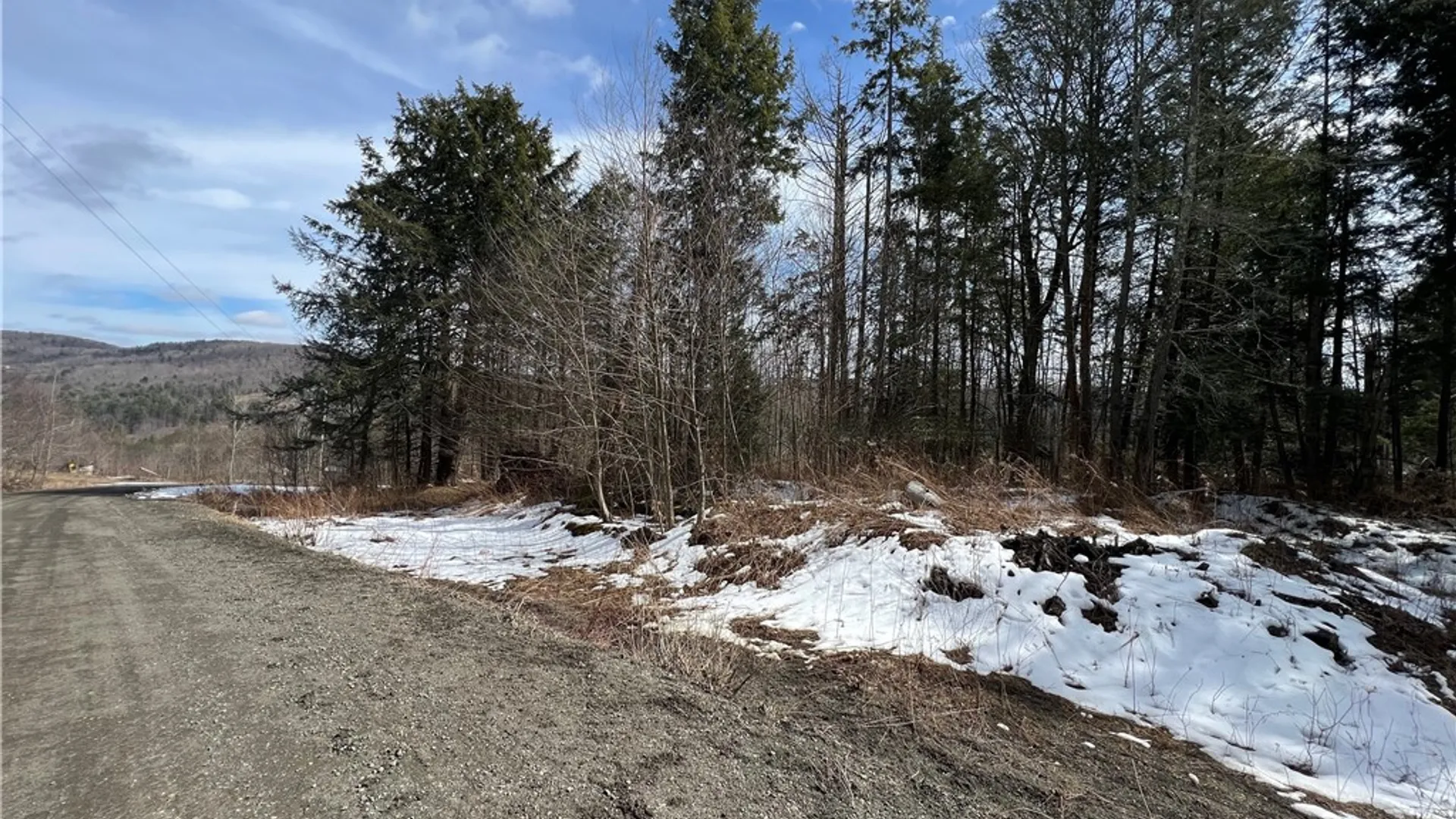 Property at Lot 2 Burdick Hill Road, Otego, NY 13825 9