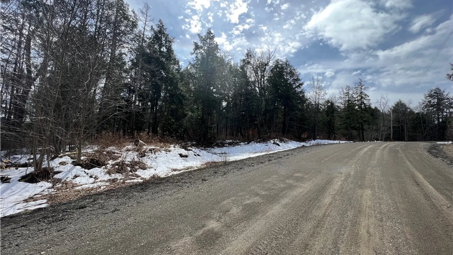 Property at Lot 2 Burdick Hill Road, Otego, NY 13825 10