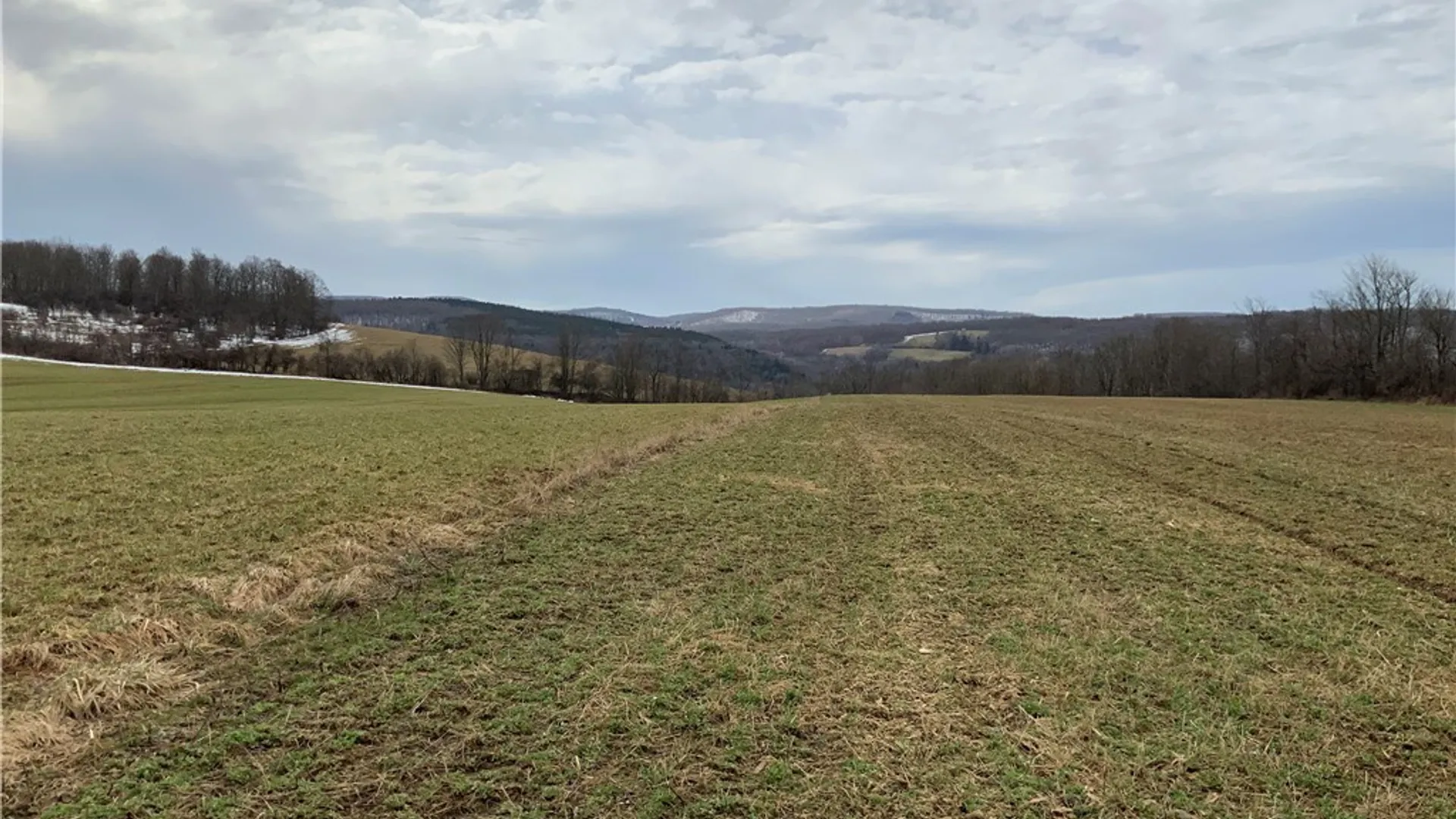 Property at 6051 Lebanon Center Road, Lebanon, NY 13332 33