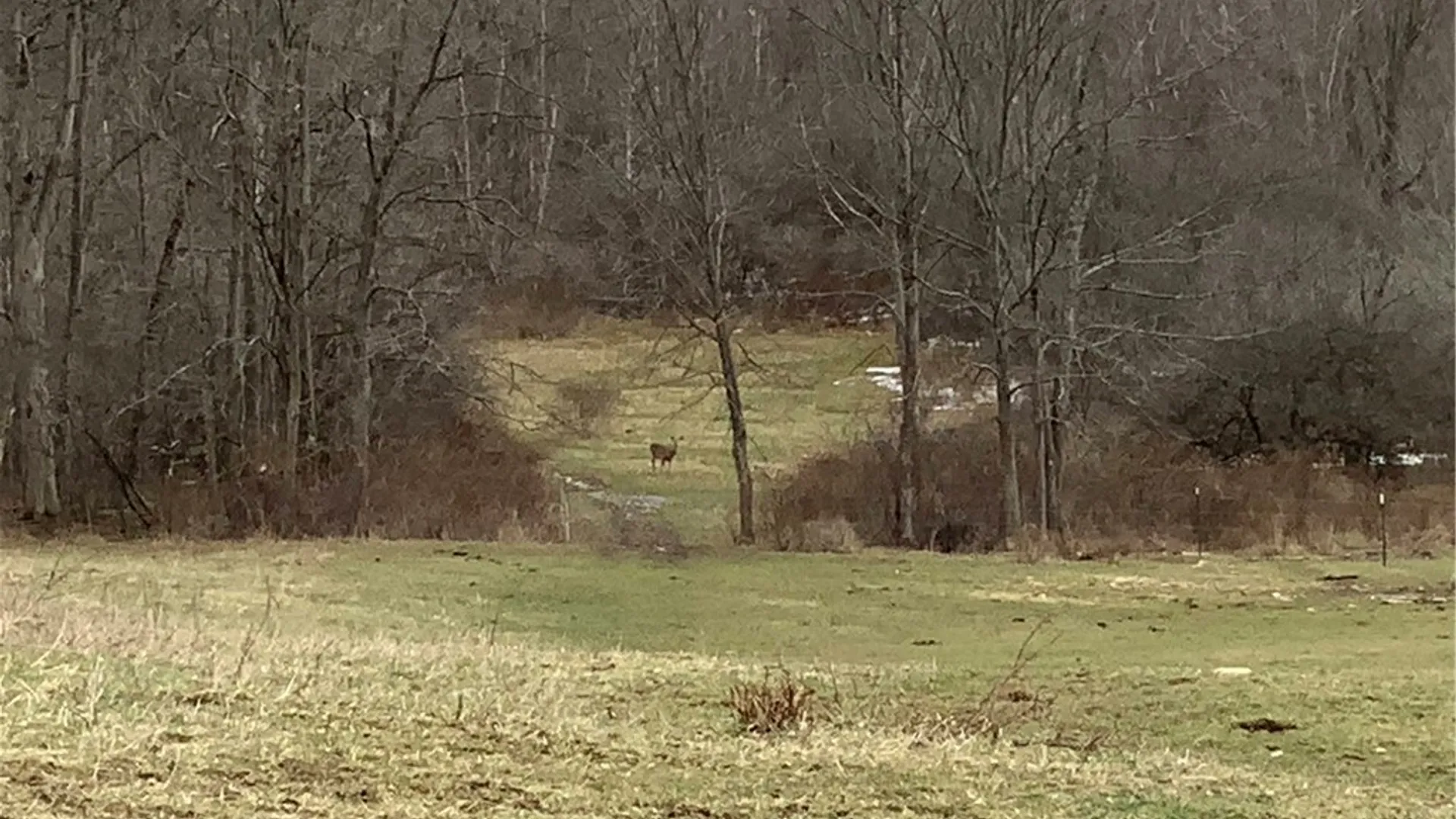 Property at 6051 Lebanon Center Road, Lebanon, NY 13332 40