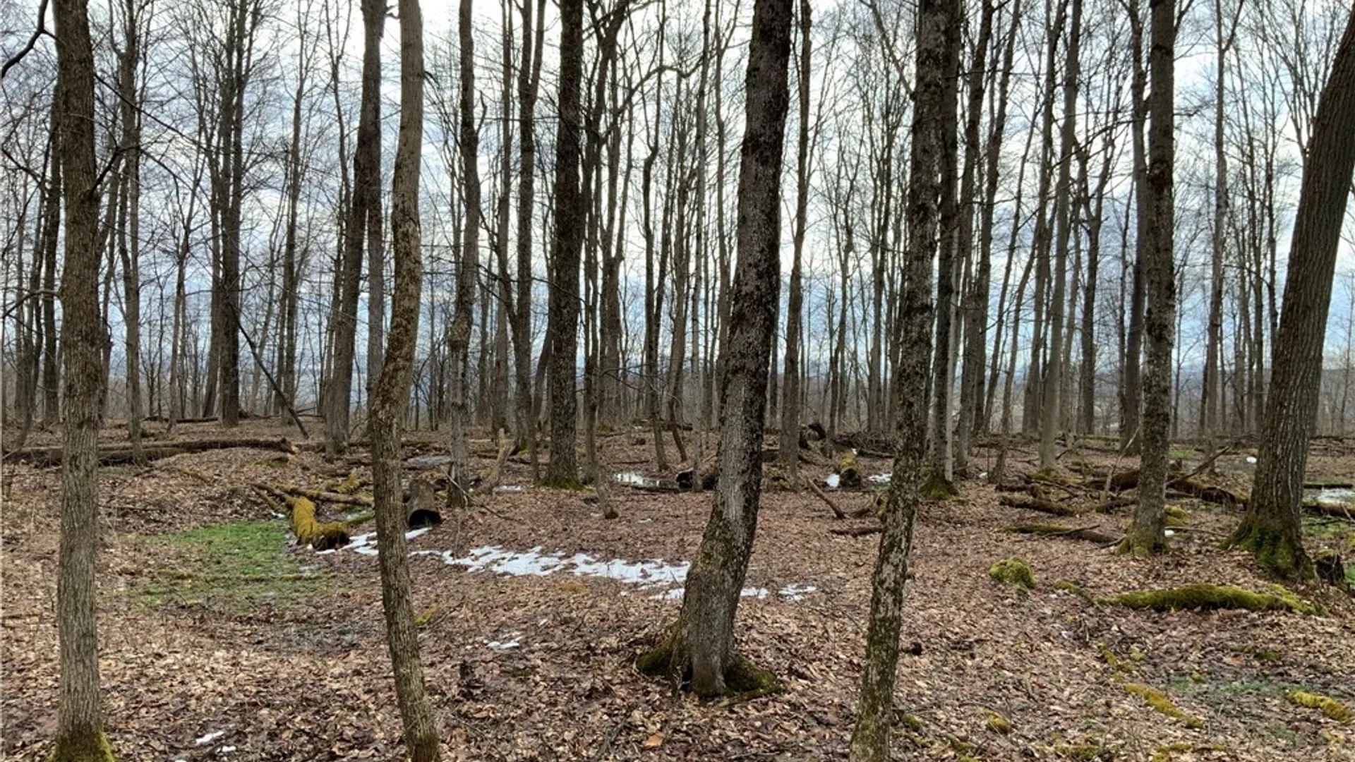 Property at 6051 Lebanon Center Road, Lebanon, NY 13332 47
