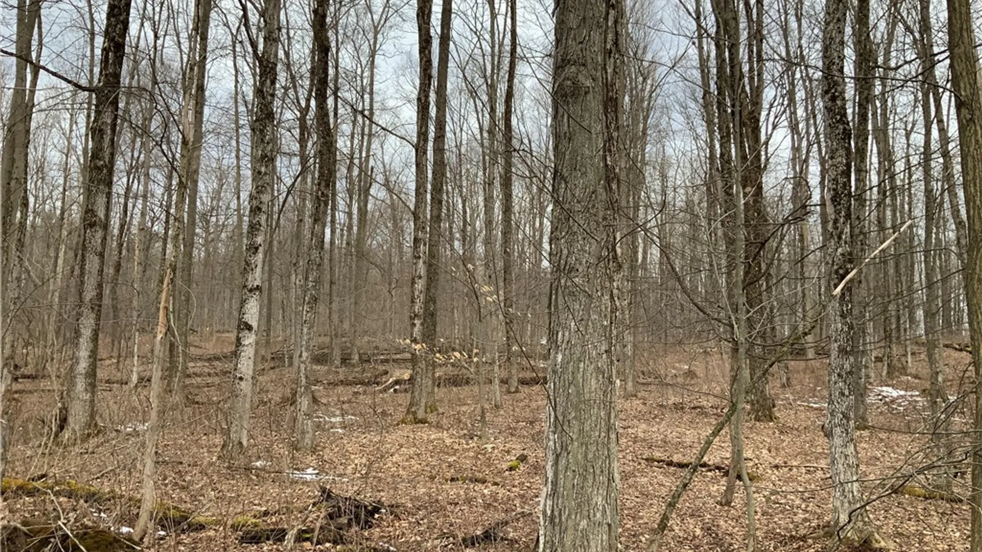 Property at 6051 Lebanon Center Road, Lebanon, NY 13332 48