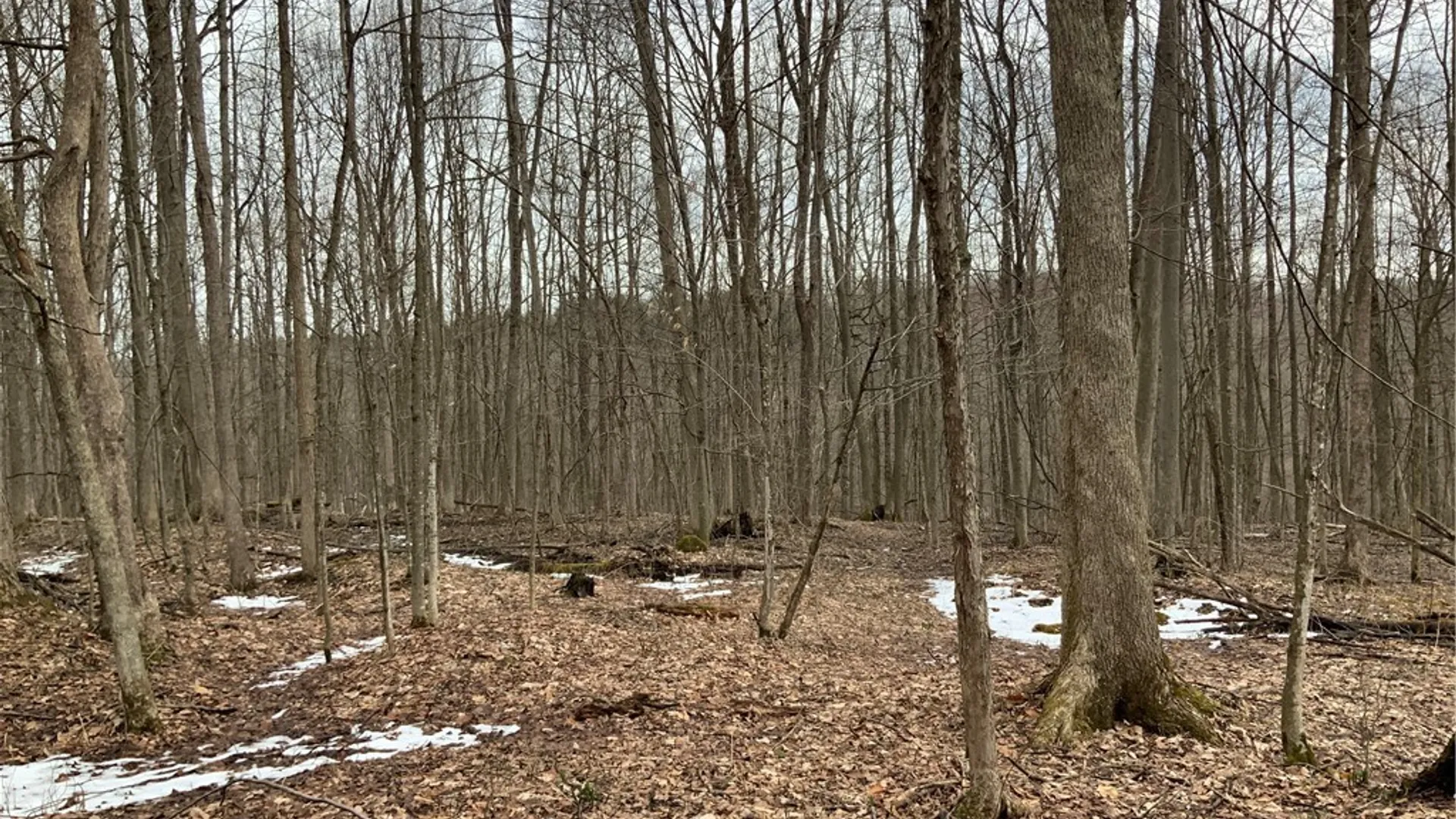 Property at 6051 Lebanon Center Road, Lebanon, NY 13332 49